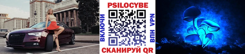 Купить закладки  Воткинск  Псилоцибиновые грибы Cubensis 